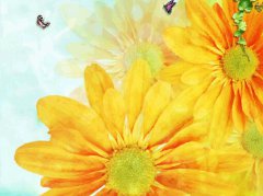 ���������ţ���������